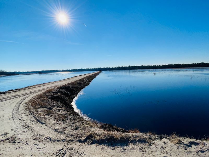 A Living Legacy of Innovation and Preservation