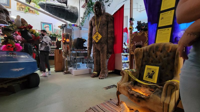 Family-Friendly Scares with Dog-Friendly Policies