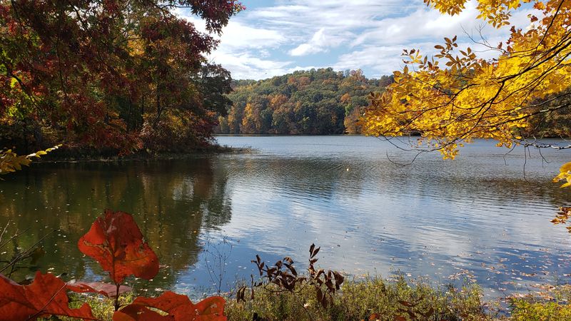 Spectacular Fall Colors and Wildflower Displays