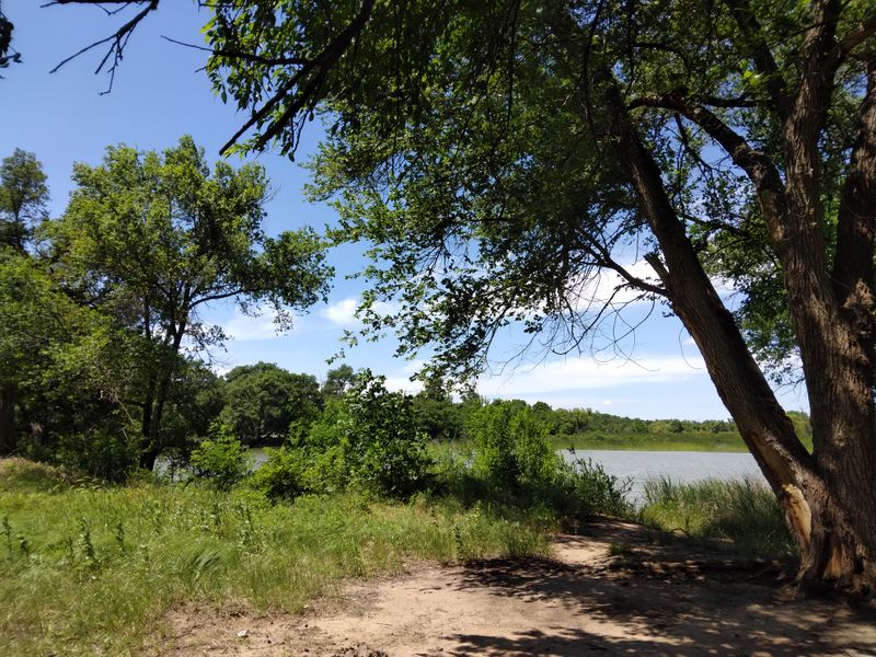 Wildlife Watching in Native Habitat