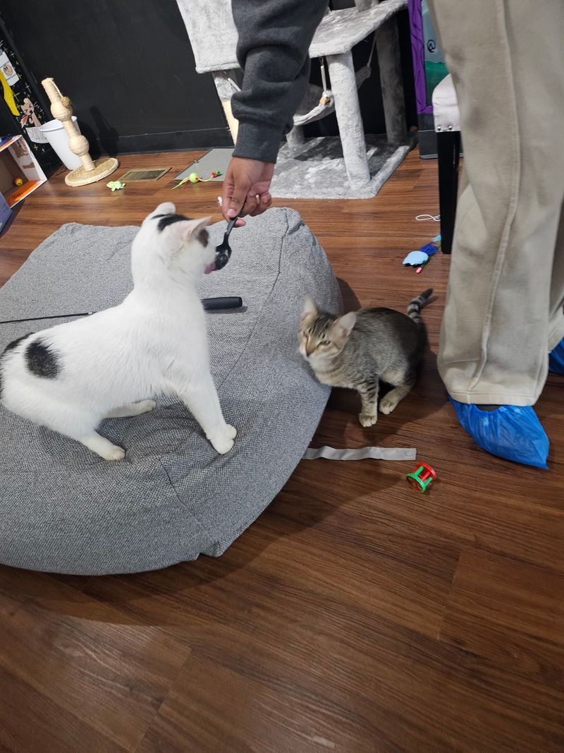 Games and Activities Keep Things Fun