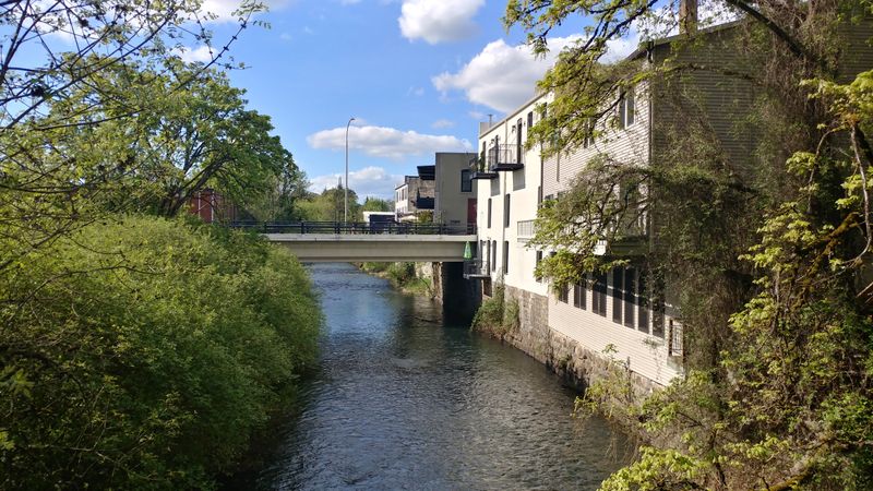 Bobbie the Wonder Dog Mural Celebrates an Epic Journey Home