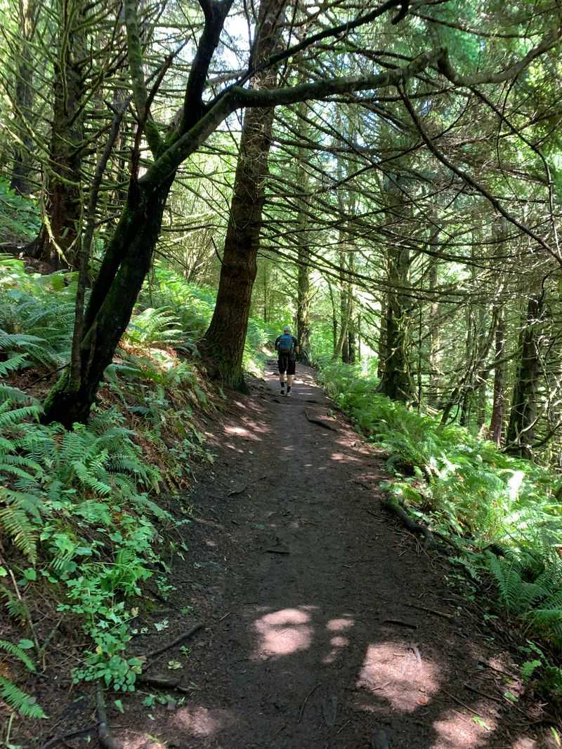 Moderately Challenging Hike With Rewarding Switchbacks