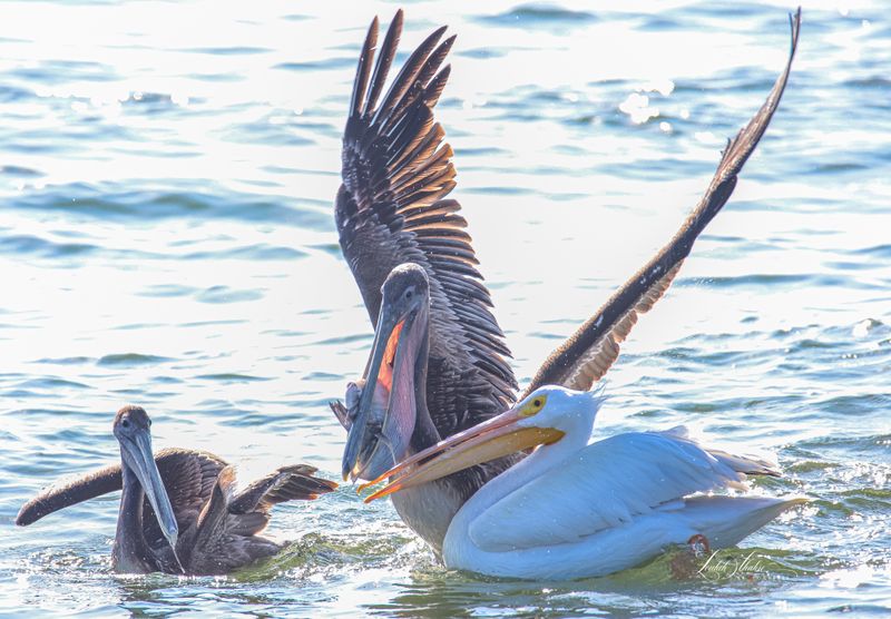 Law Enforcement Patrols Popular Fishing Spots