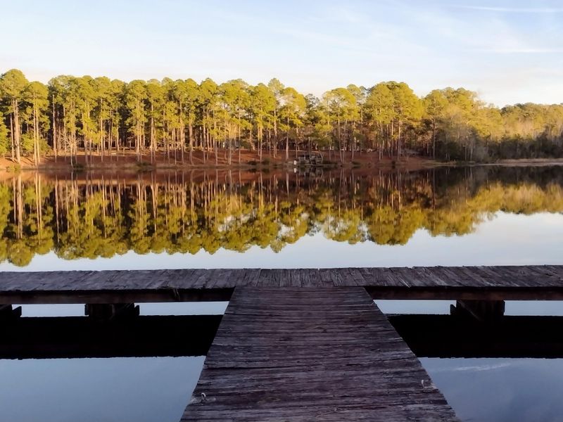 Jack Hill State Park