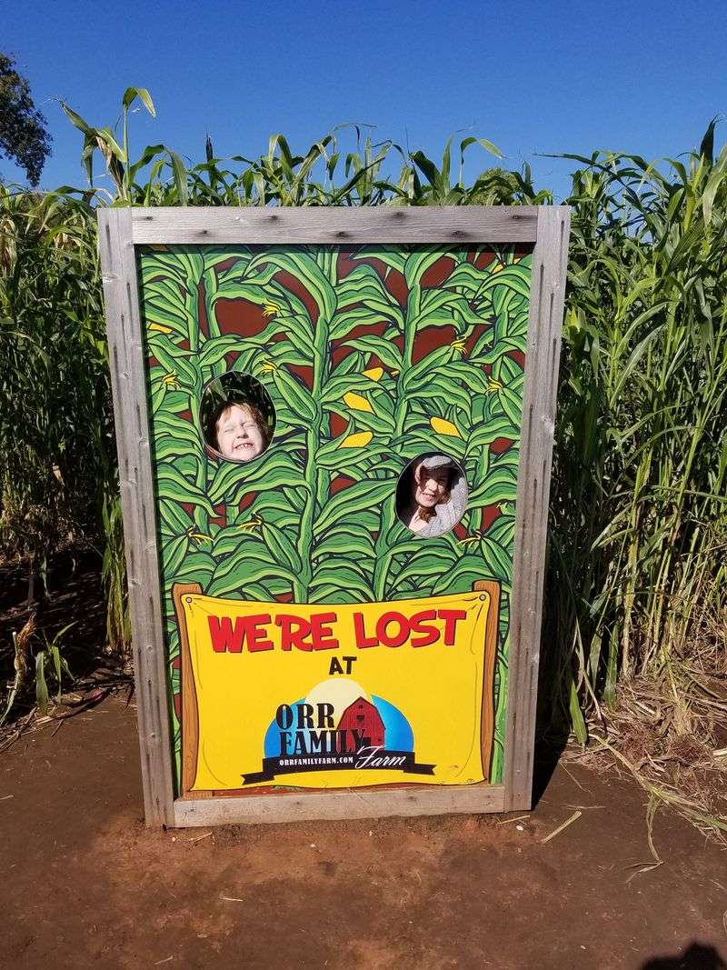 Tackle the Corn Maze Challenge