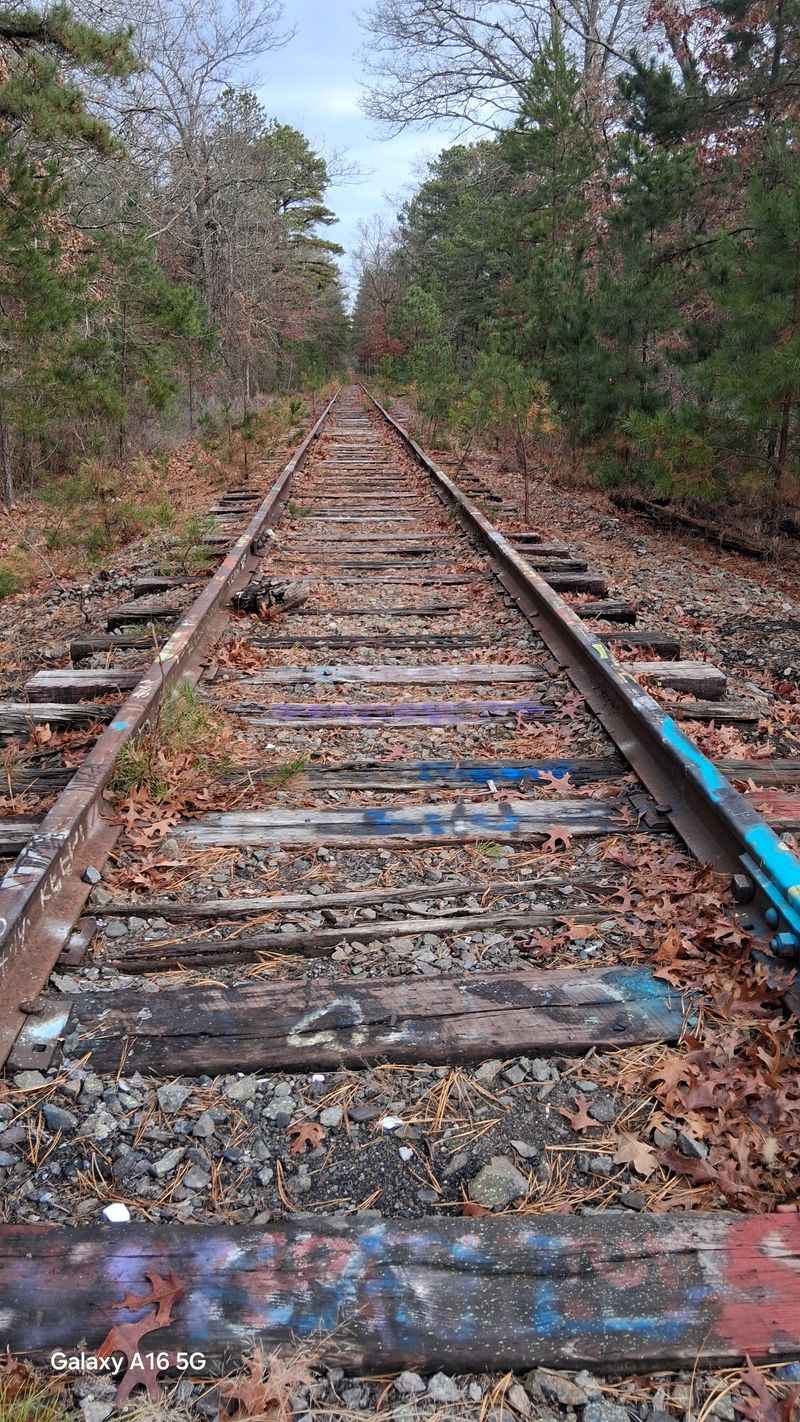 Abandoned Railroad Tracks Frozen in Time