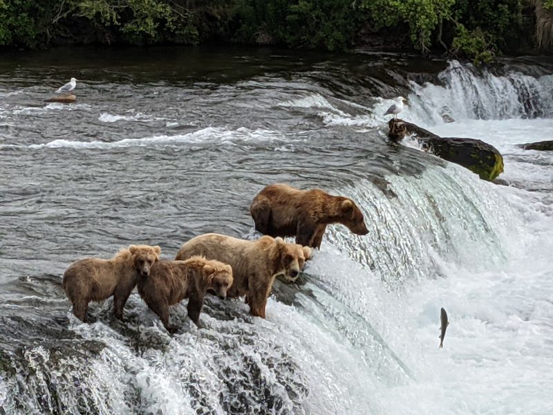 Katmai National Park and Preserve