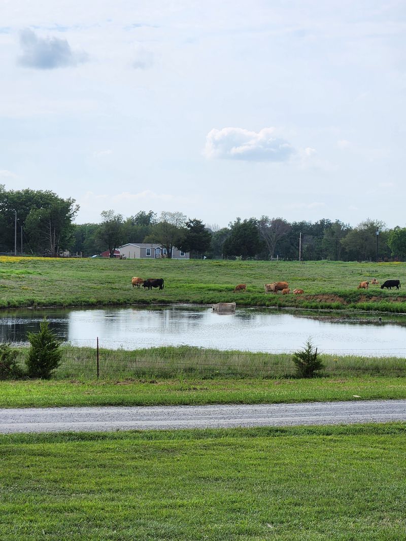Farm Pond Views Right Outside The Windows