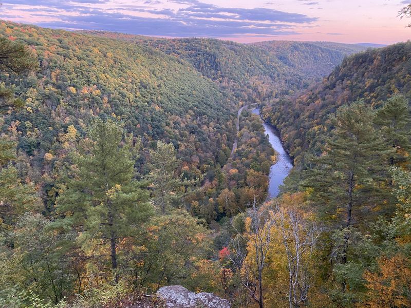 Pine Creek Gorge Rim Loop Near Wellsboro