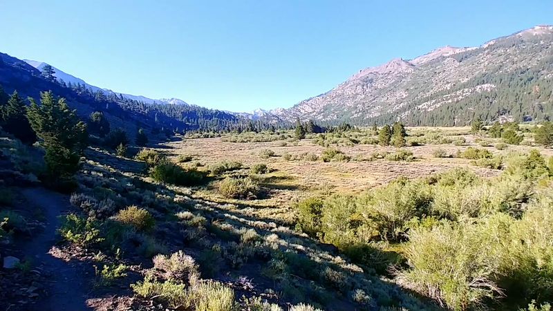 Leavitt Meadows To Millie And Roosevelt Lakes