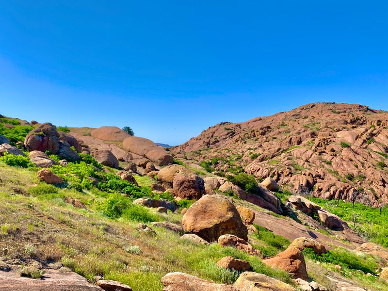 Wildflower Meadows and Prairie Landscapes