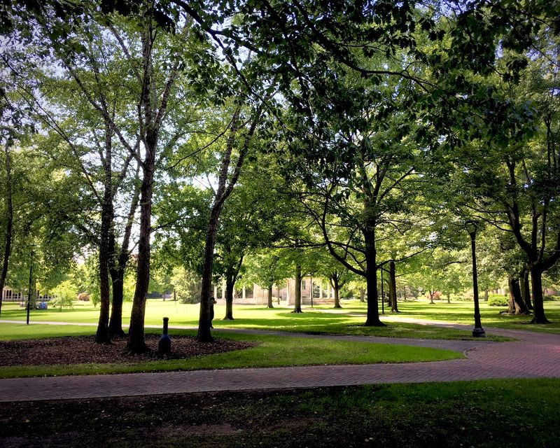 Oberlin