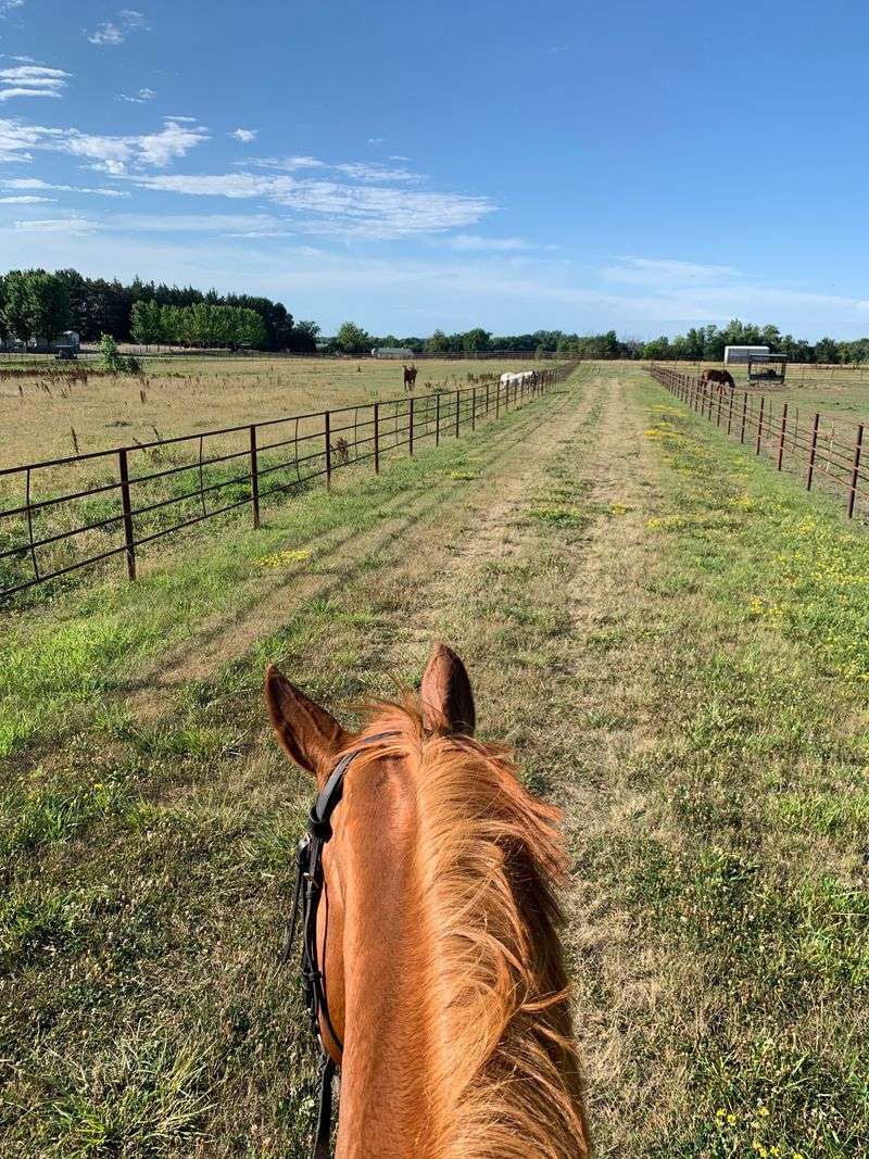 Horse Properties And Hobby Farms Everywhere