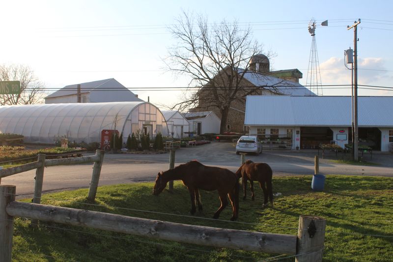 Heritage Farm and Bakery