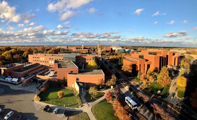 Free And Low-Cost Entertainment At Every Turn