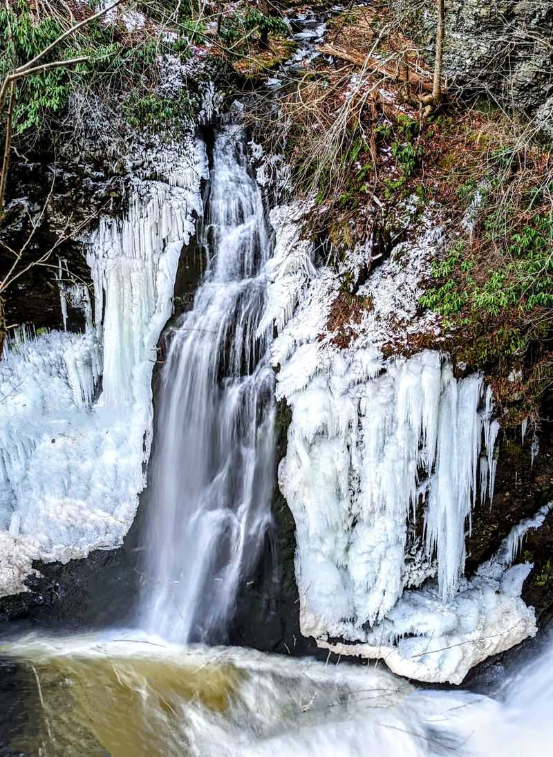 Delaware Water Gap Eagle Watching: Majestic Birds in Their Element