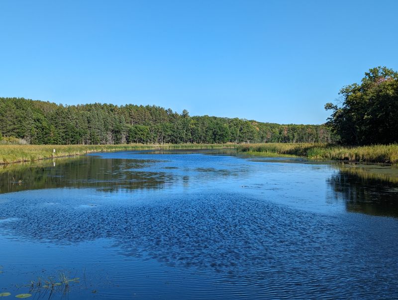 Minnesota Fishing Opener (Statewide)