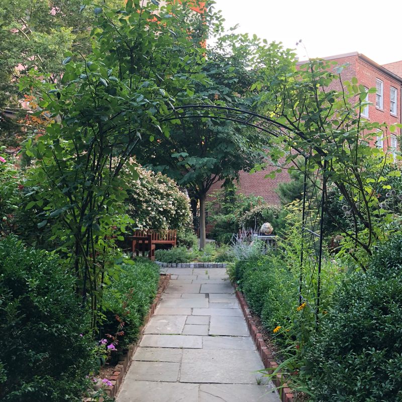The Garden at St. Luke in the Fields