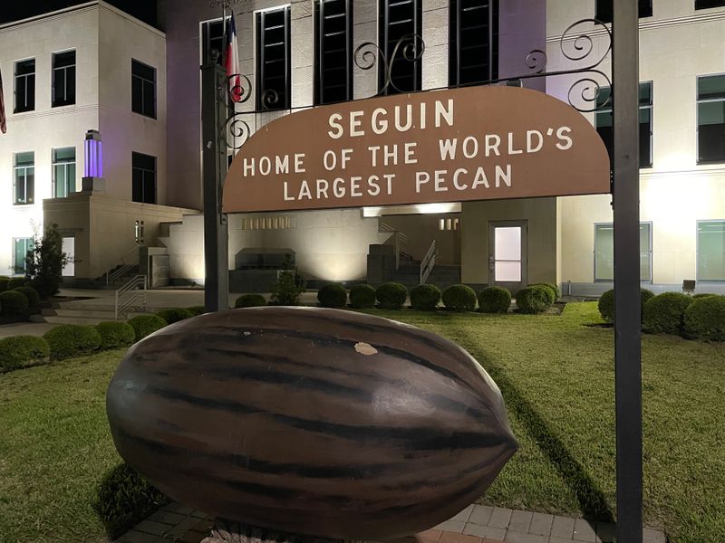 World's Largest Pecan
