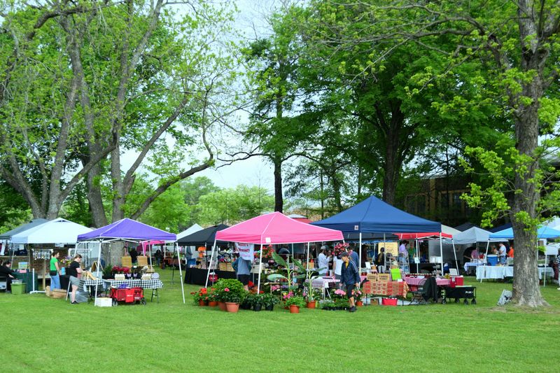 Local Economies Are Blooming With The Flowers