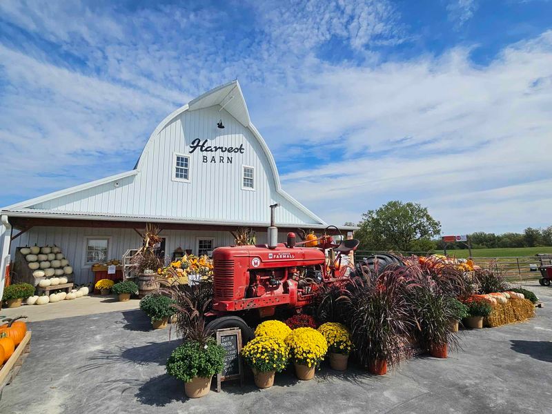Harvest Barn Fun Farm And Corn Maze, Osceola