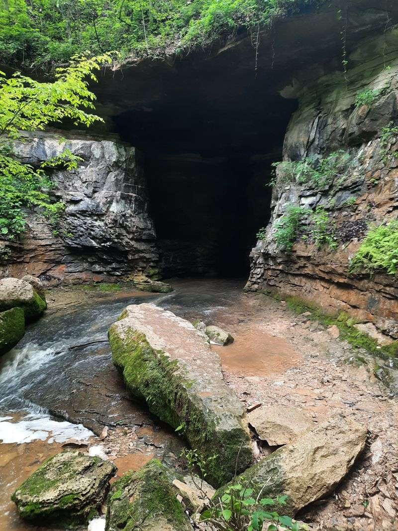 Donaldson Woods Nature Preserve