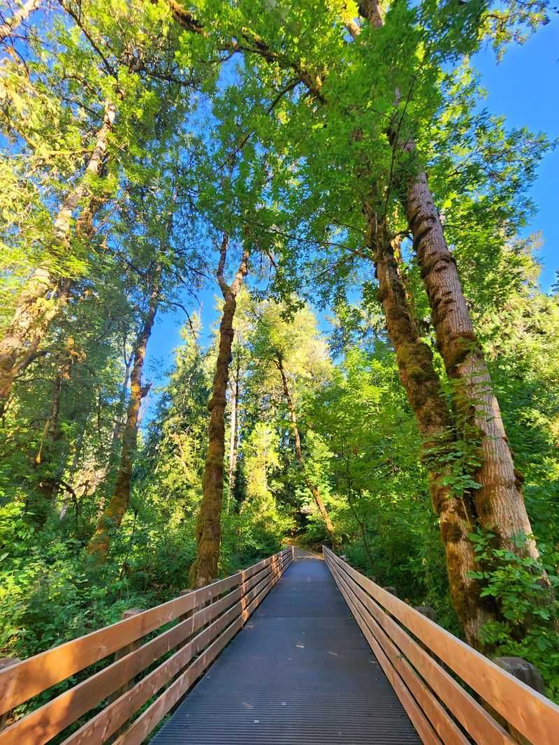 Community Stewardship You Can Join