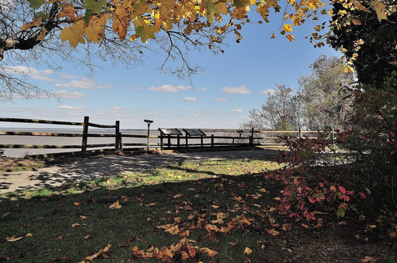 Chippokes Plantation State Park Nature Preserve
