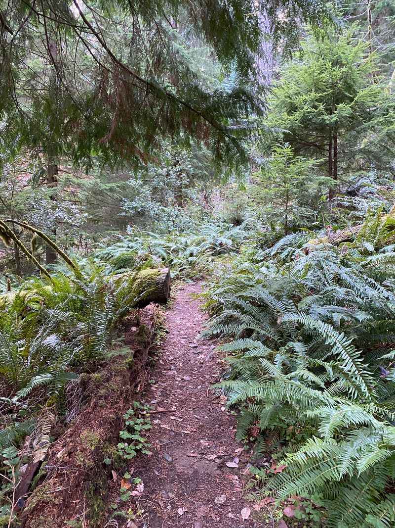 The Steep Trail That Keeps Crowds Away