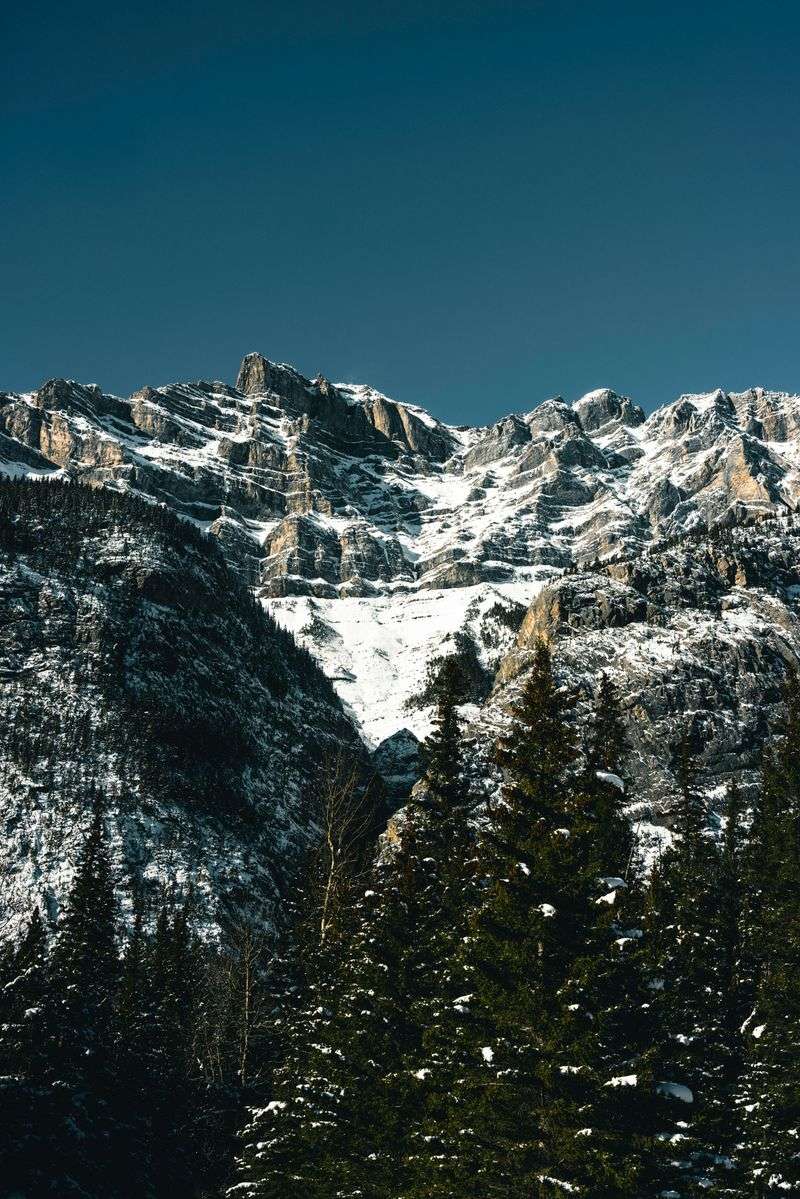 Wildfire Penalties Can Include Heavy Fines