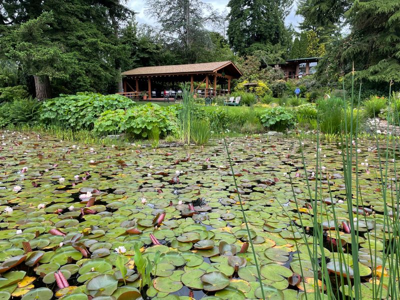 Soos Creek Botanical Garden And Heritage Center