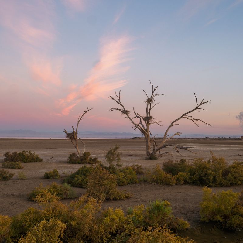 Salton Sea Loop Through Niland