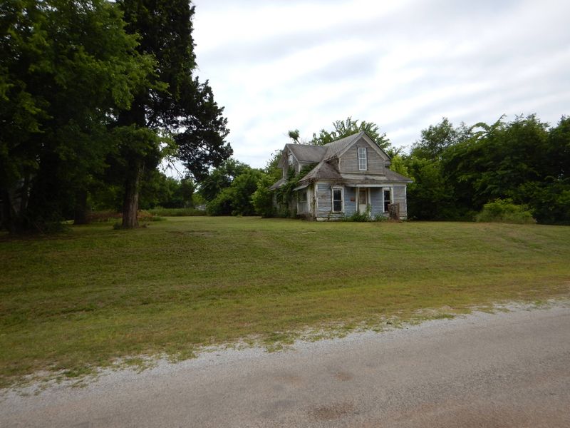 The Survivors Who Refuse to Leave