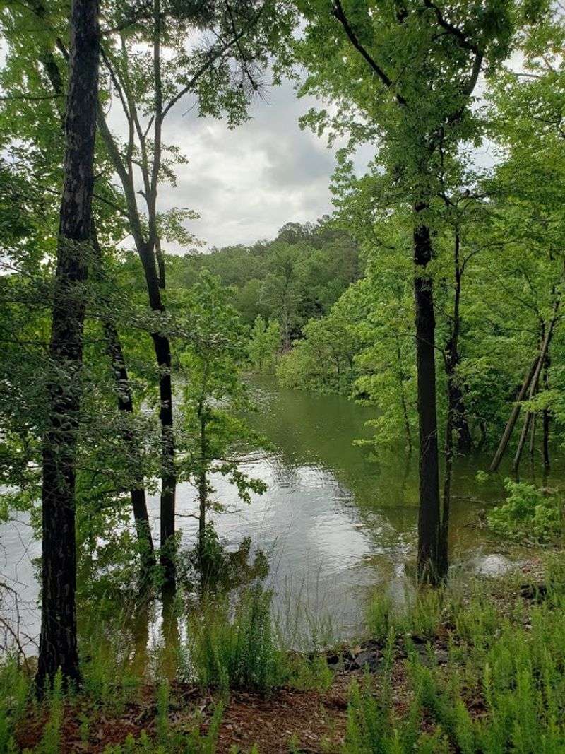 Seasonal Transformations: Year-Round Appeal