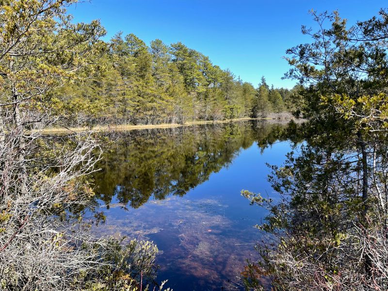 Free Access and Welcoming Atmosphere