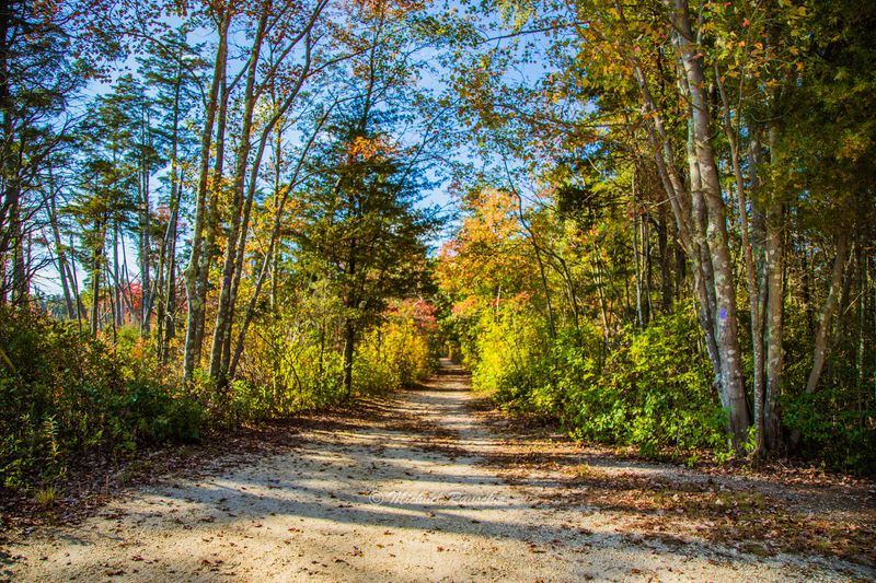 Trail System That Offers Something for Everyone