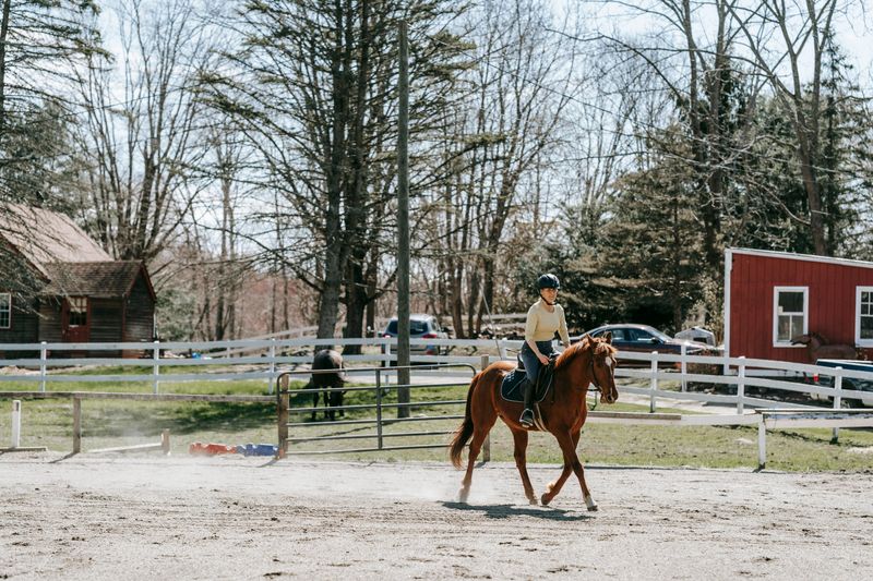Horseback Riding Through Flower-Lined Trails