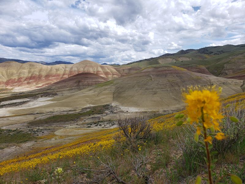Painted Hills Alternative Viewpoints