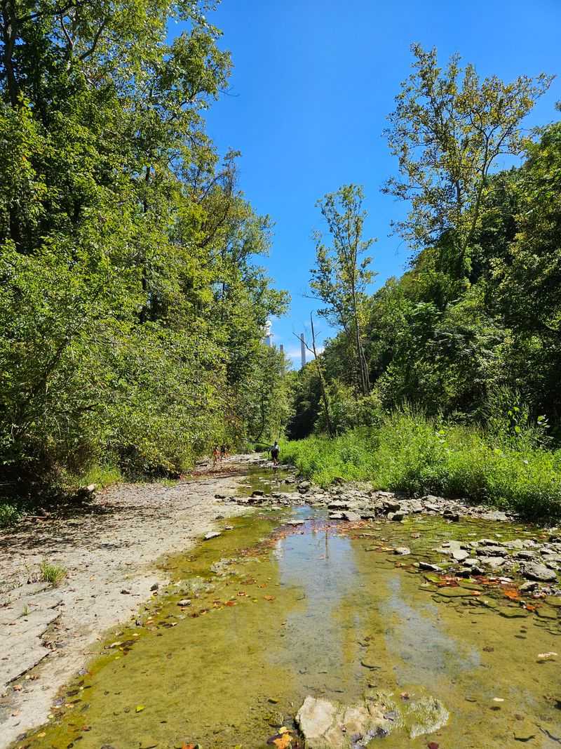 Rugged Creek Bed Exploration and Ancient Fossil Discoveries