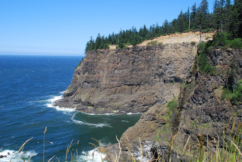 Seasonal Changes Bring New Perspectives