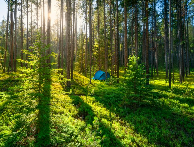 Outdoor Access Feels Effortless