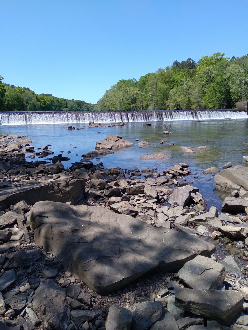 Hiking Trails: Forest Paths for Every Skill Level