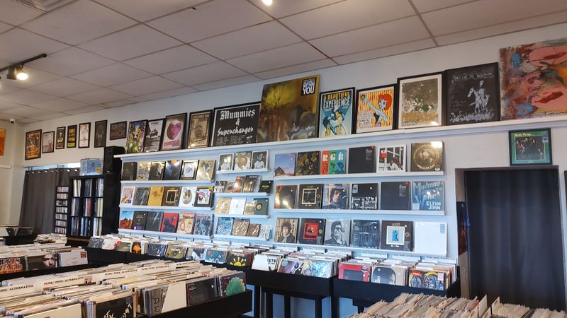 Books and Media for Entertainment Seekers