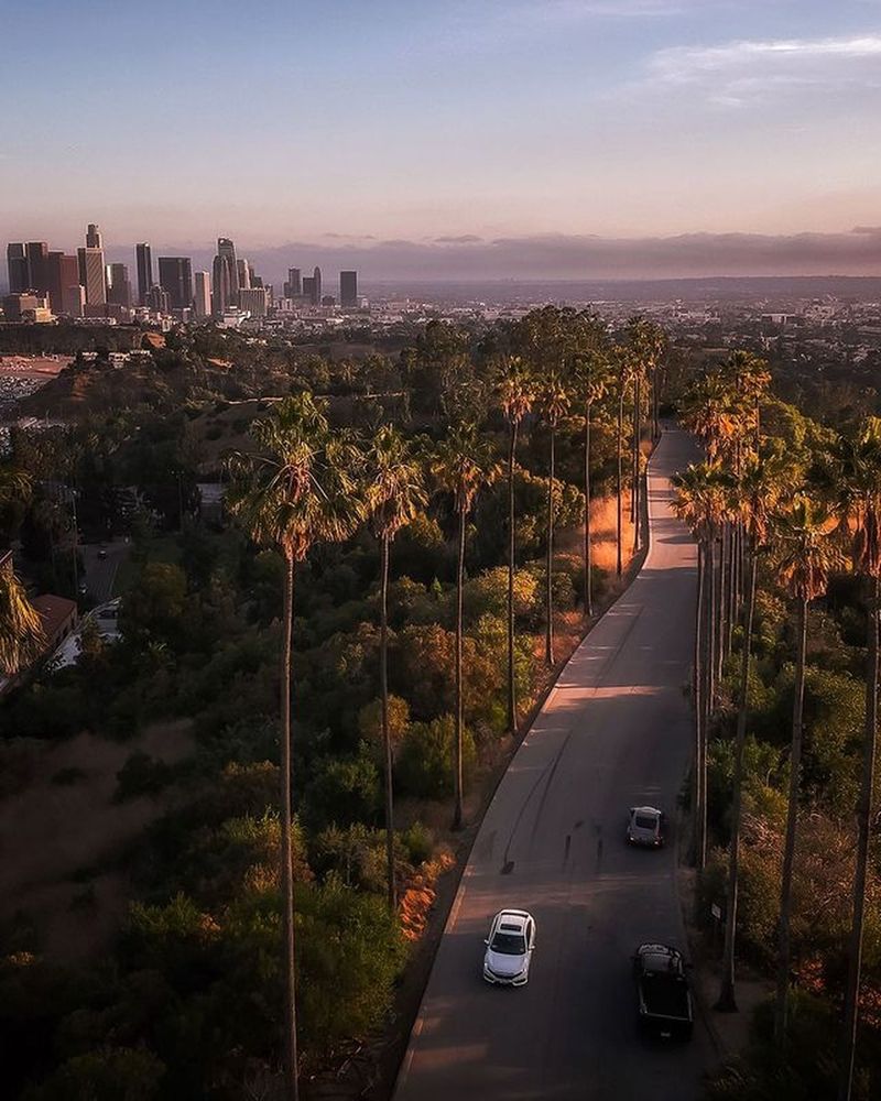 Traffic Gridlock Turns Day Trips Into Ordeals