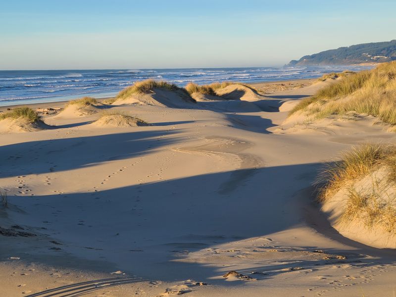 Florence: Coastal Calm and Sand Dunes