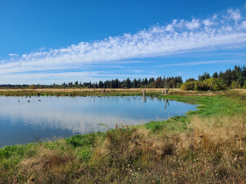 Tualatin River National Wildlife Refuge
