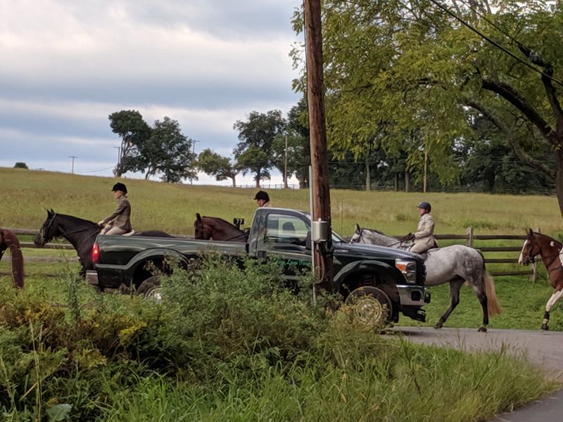 Oldwick: Horse Country Elegance