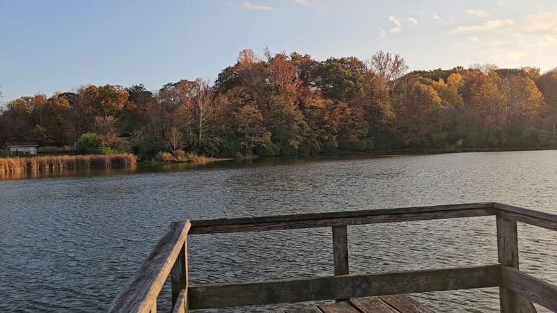 Photography Paradise for Capturing Spring Magic