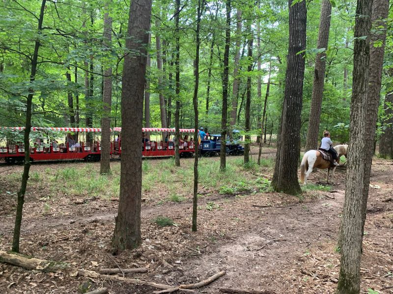 Pony Rides Perfect for the Littlest Adventurers